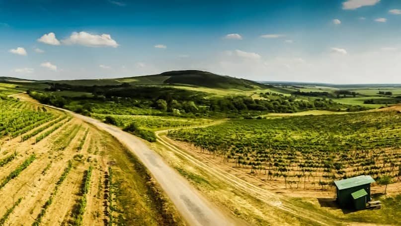 Tokaj (SK)